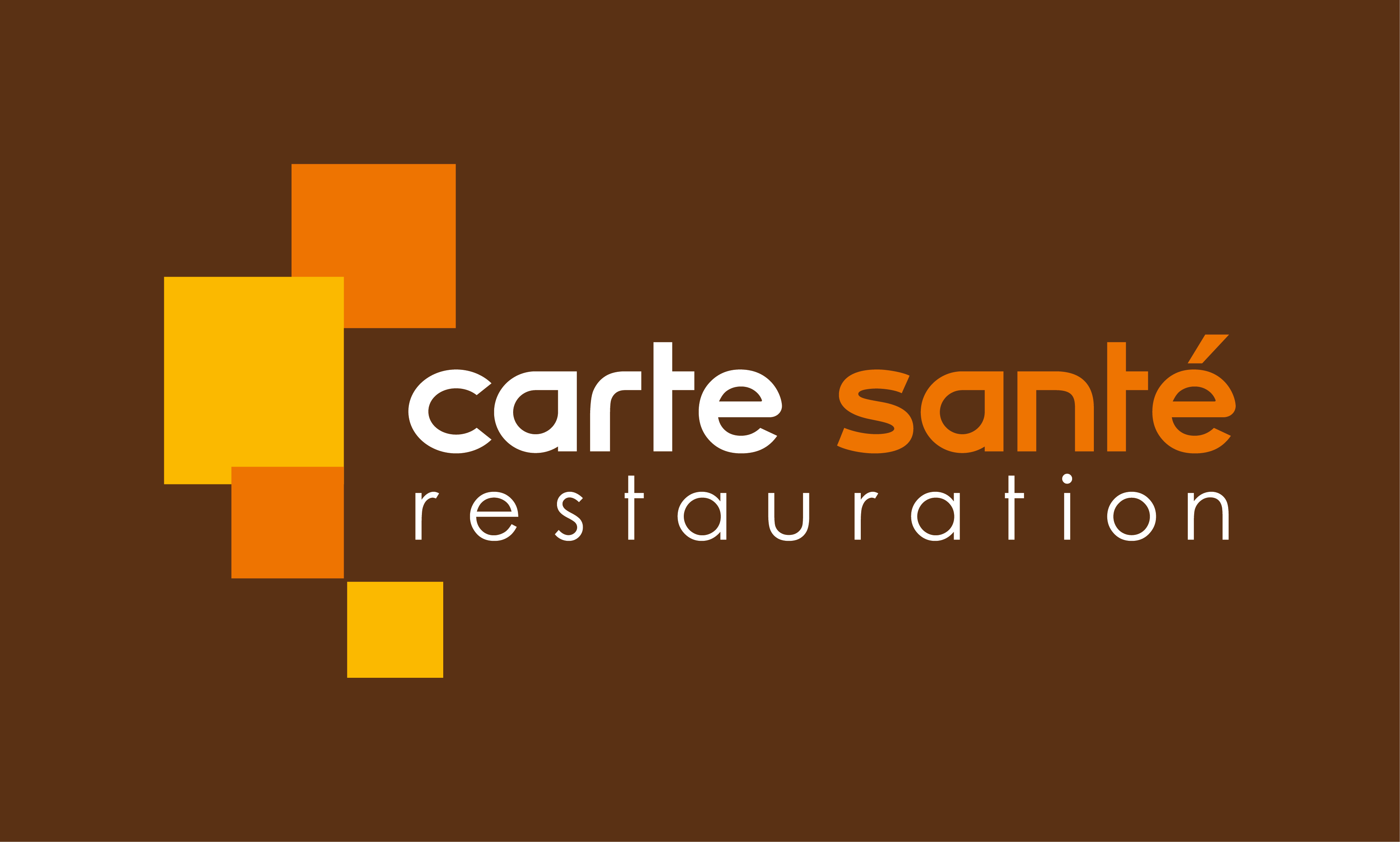 Logo Carte Sante Pantone.png